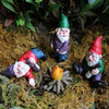 Mini-Figurines-Resin-Fairy-Garden-Miniature-Gnomes.jpg
