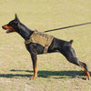 Tactical Dog Training Vest - Great Value Novelty 